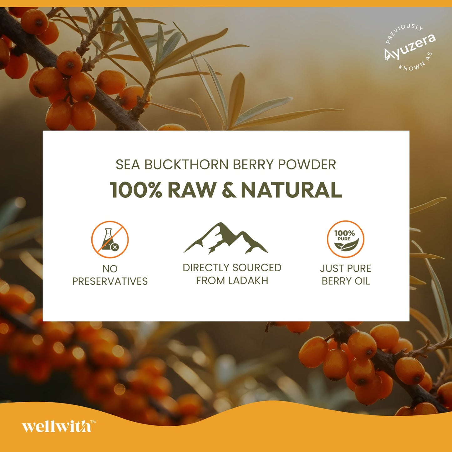 SEA BUCKTHORN OIL CAPSULES (30 CAPSULES)