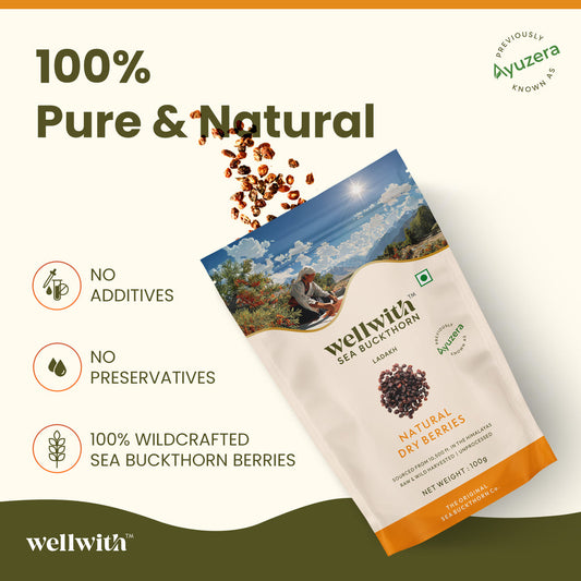 SEA BUCKTHORN DRY BERRY 100GM