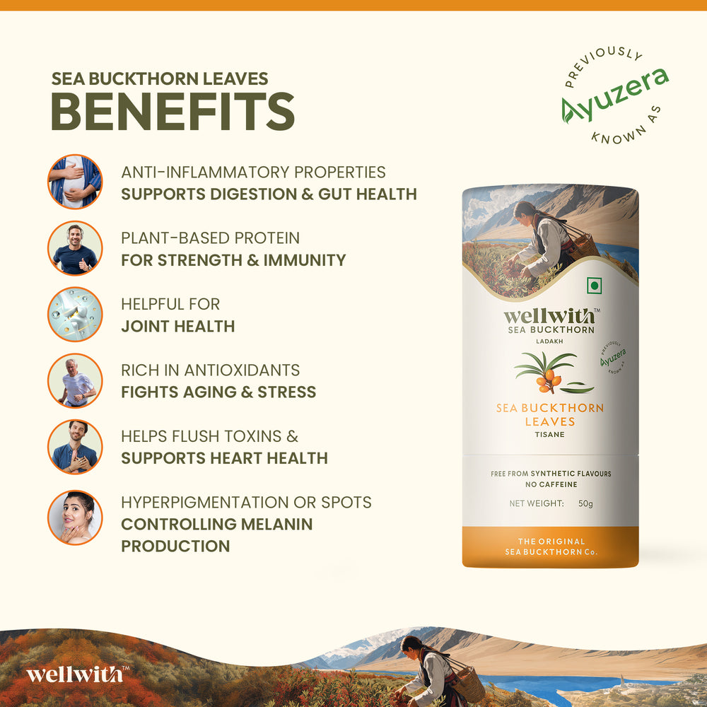 SEA BUCKTHORN LEAF TEA 50GM