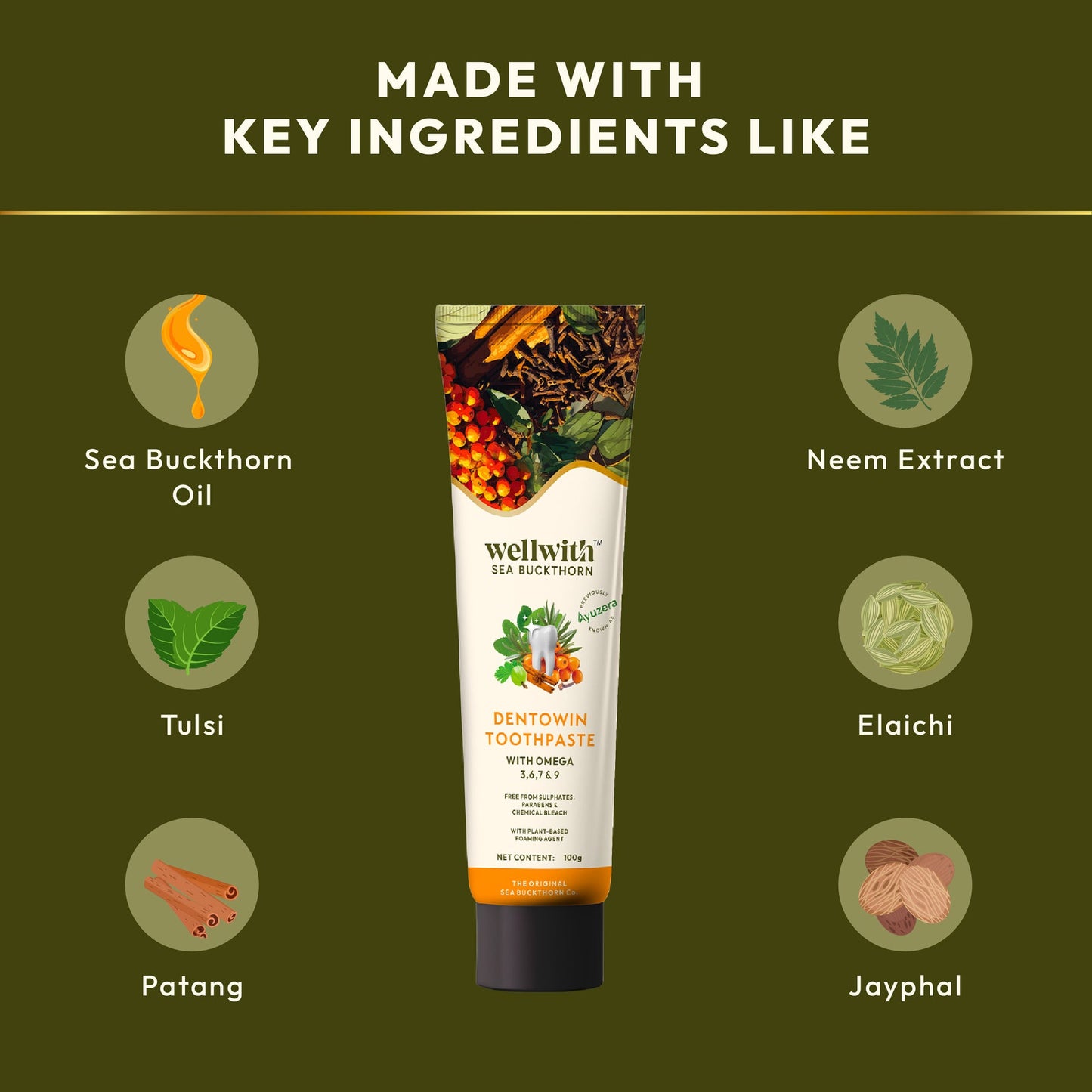 DENTOWIN SEABUCKTHORN HERBAL TOOTHPASTE 100GM