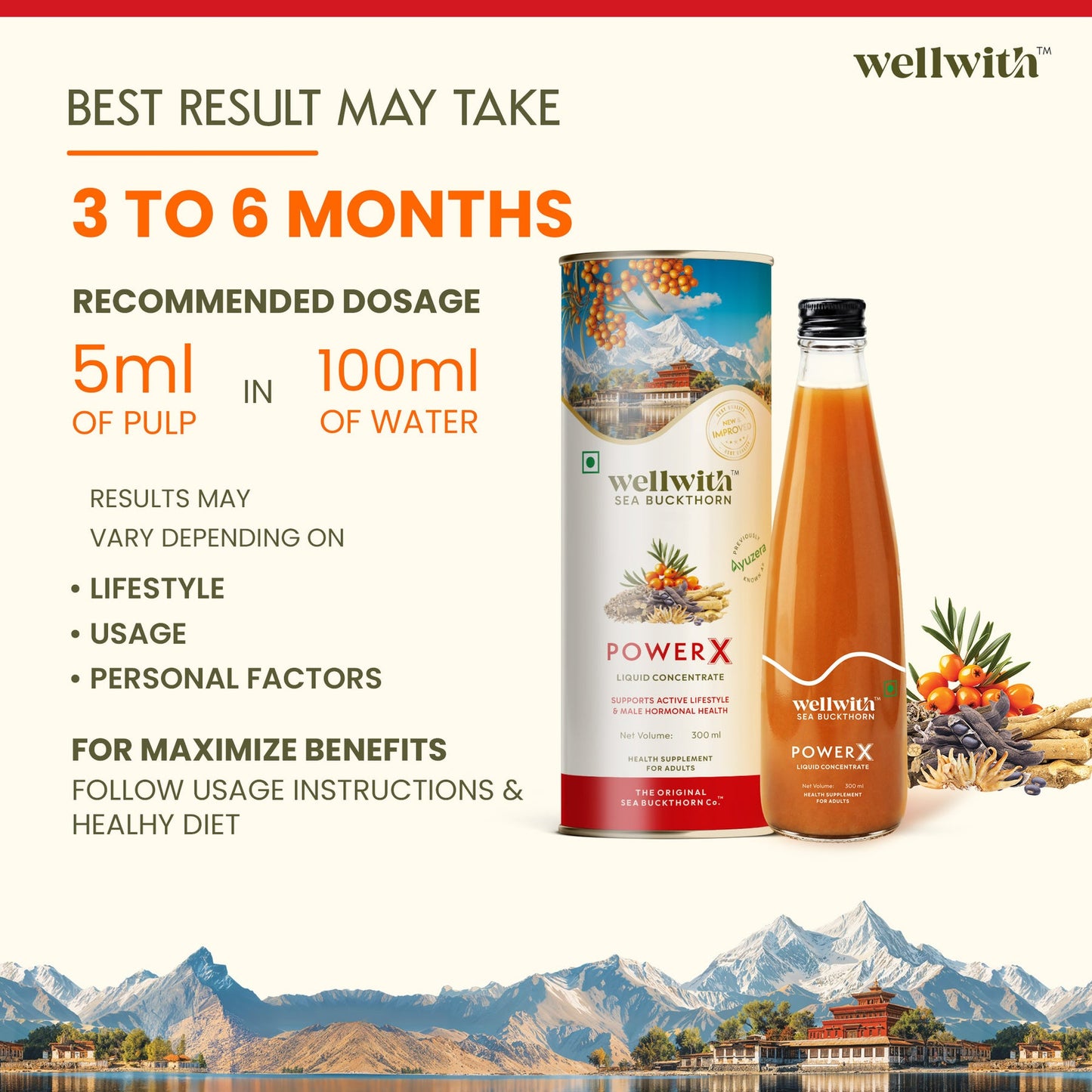 SEA BUCKTHORN POWER X 300ML