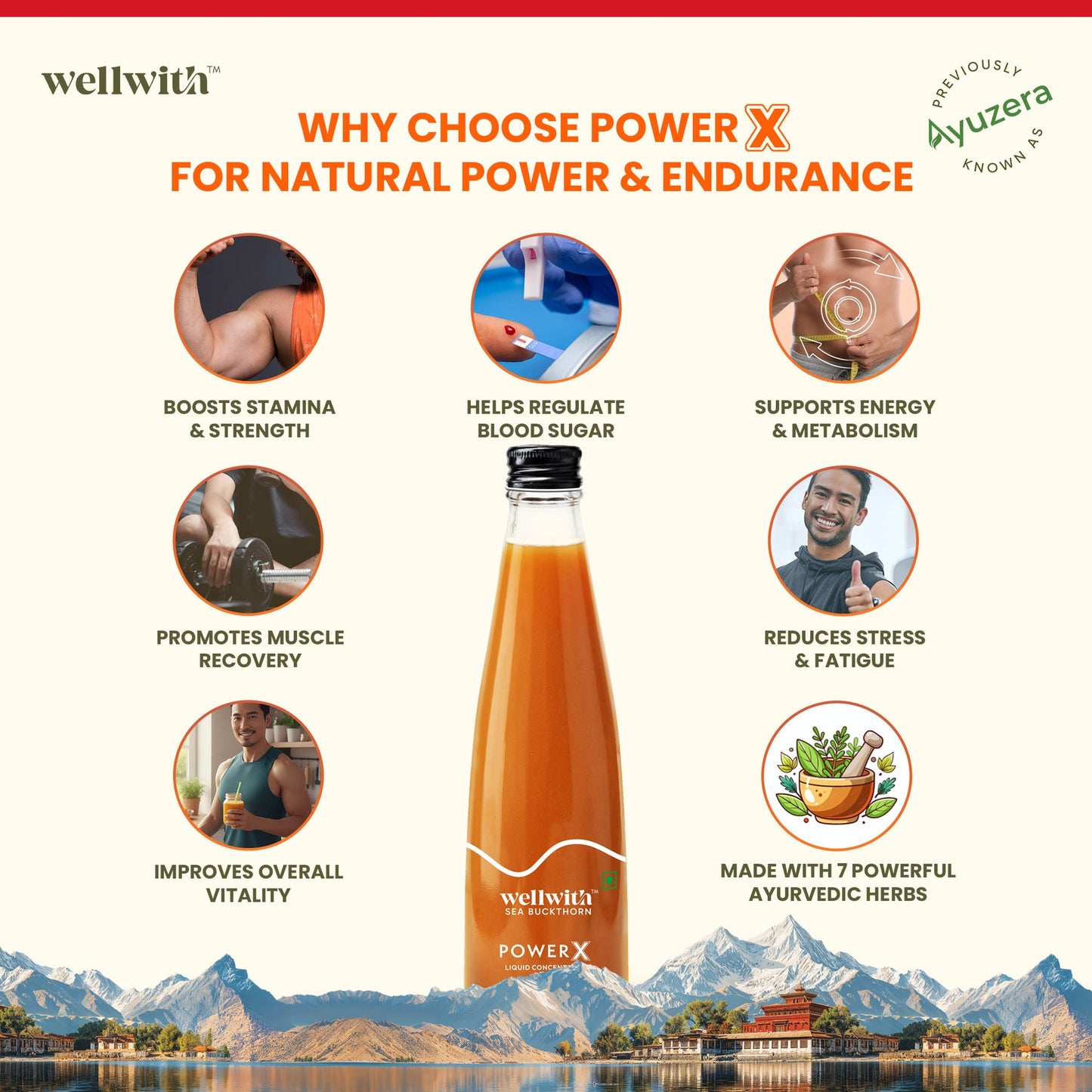 SEA BUCKTHORN POWER X 300ML